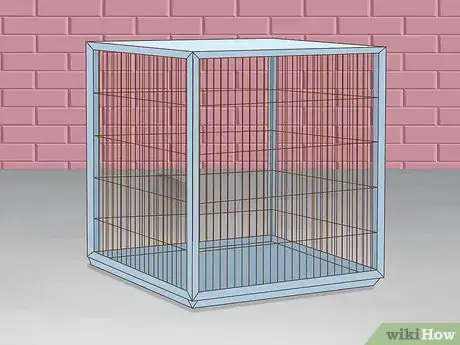 Imagen titulada Care for a Dog With a Broken or Fractured Pelvis Step 1