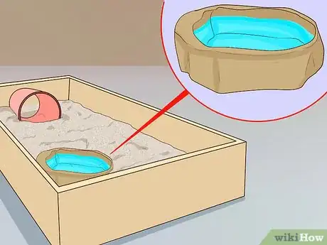 Imagen titulada Take Care of a Russian Tortoise Step 5