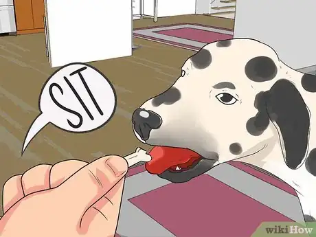 Imagen titulada Train Dalmatians Step 16