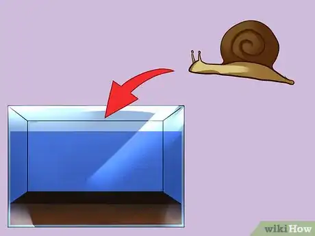 Imagen titulada Build a Self Sustaining Ecosystem Step 6