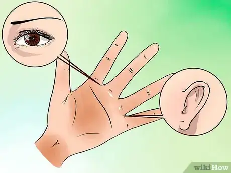 Imagen titulada Read a Hand Reflexology Chart Step 2