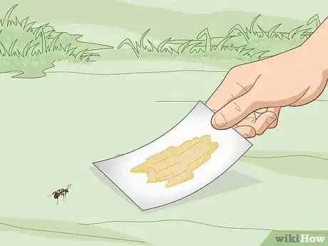 Imagen titulada Catch Ants Step 5