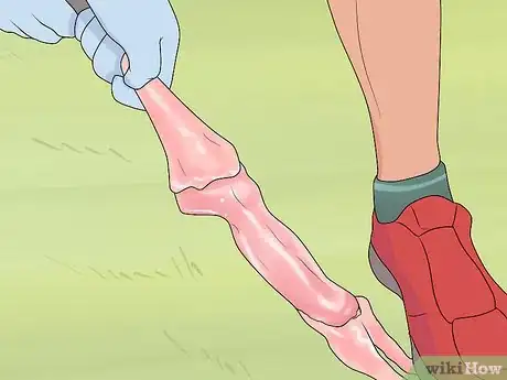 Imagen titulada Clean a Squirrel Step 7