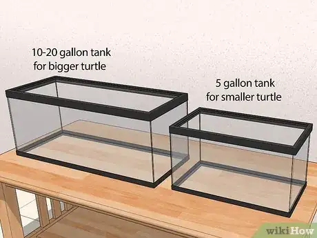 Imagen titulada Look After a Turtle Step 2