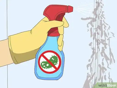 Imagen titulada Reduce Mold Spores in the Air Step 1