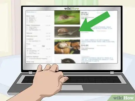 Imagen titulada Snail Farm Step 3