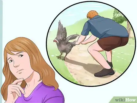 Imagen titulada Raise Guinea Fowl Step 1