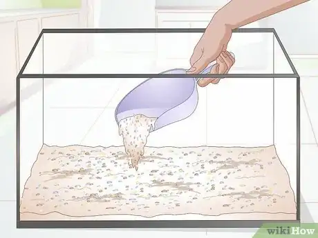 Imagen titulada Care for a Zebra Danio Step 3