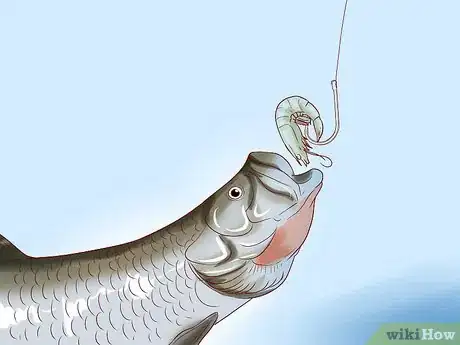 Imagen titulada Make Fish Bait Without Worms Step 11