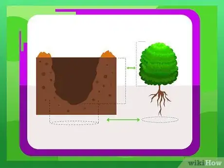 Imagen titulada Plant Boxwood Step 6