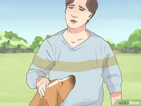 Imagen titulada Comfort Your Sick Dog Step 1