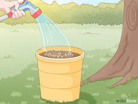 Imagen titulada Grow Baby Spinach Step 5