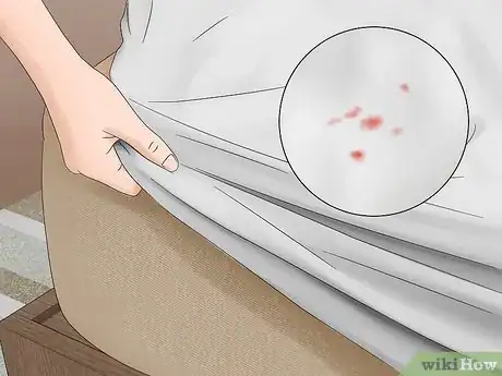 Imagen titulada Check for Bedbugs Step 5