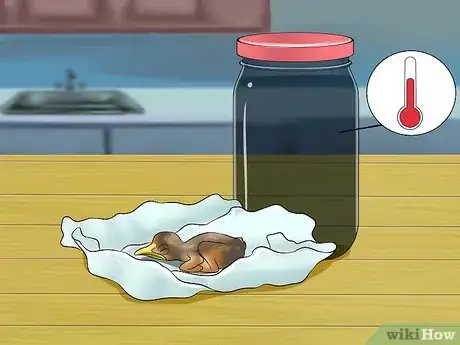 Imagen titulada Make Emergency Baby Bird Food Step 5