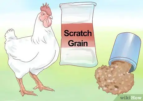 Imagen titulada Feed Chickens Step 14