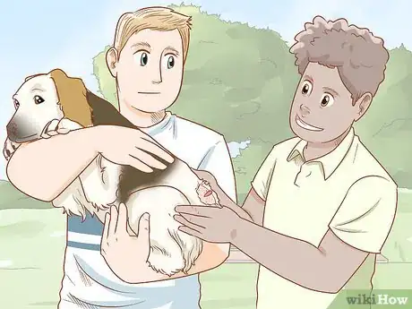 Imagen titulada Remove a Dog’s Skin Tags at Home Step 4
