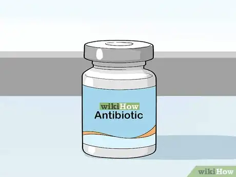 Imagen titulada Diagnose and Treat Anal Gland Disease in Cats Step 14