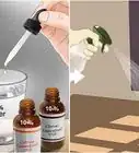 curar las picaduras de pulgas