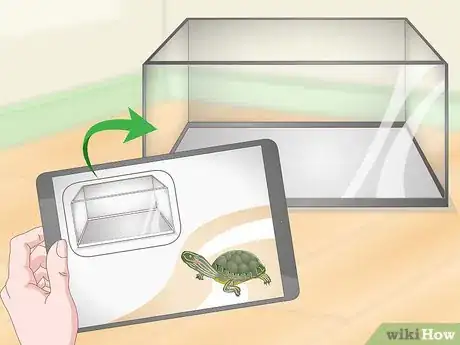 Imagen titulada Take Care of Mini Pet Turtles Step 1