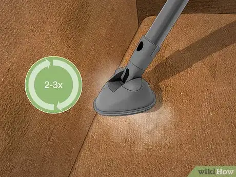 Imagen titulada Kill Bed Bugs With Steam Step 6