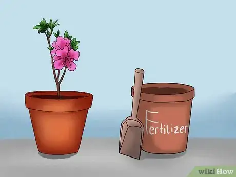 Imagen titulada Care for Azaleas Step 12