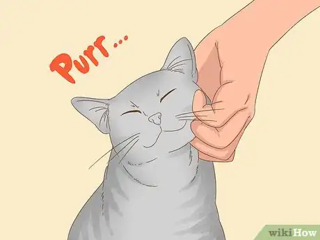 Imagen titulada Communicate with Your Cat Step 10
