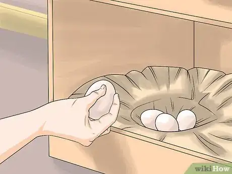 Imagen titulada Take Care of Chickens Step 22