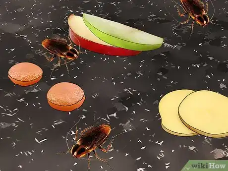 Imagen titulada Attract Cockroaches Step 12