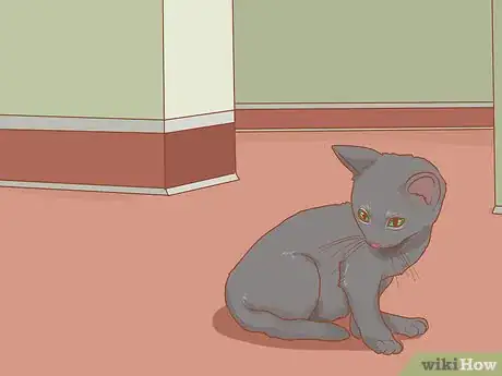 Imagen titulada Deworm a Kitten Step 11