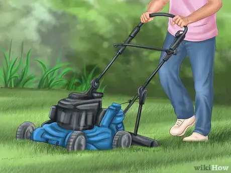 Imagen titulada Kill Fleas and Ticks on Cats Step 14