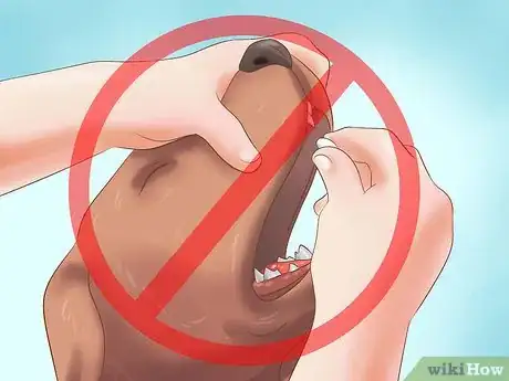Imagen titulada Stop a Dog from Snoring Step 5