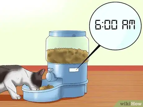 Imagen titulada Help Cats to Sleep at Bedtime Step 3