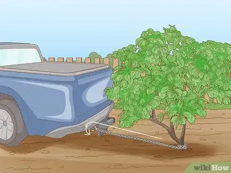 Imagen titulada Remove Bushes Step 3