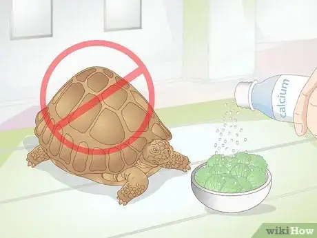 Imagen titulada Take Care of a Baby Tortoise Step 12