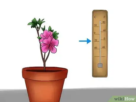 Imagen titulada Care for Azaleas Step 15