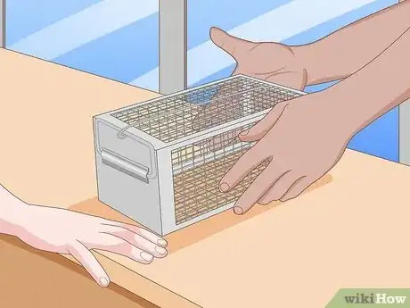 Imagen titulada Catch Weasels Step 3