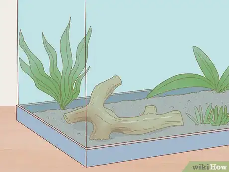 Imagen titulada Care for Neon Tetra Step 4