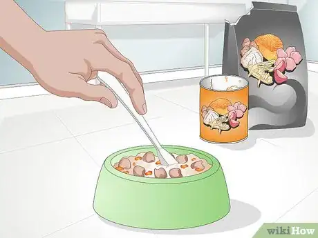 Imagen titulada Switch Dog Foods Gradually Step 6