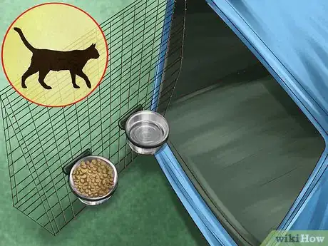 Imagen titulada Approach a Stray Cat Step 4