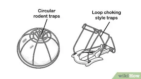 Imagen titulada Get Rid of Moles in Your Lawn Step 2
