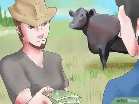 Imagen titulada Raise Black Angus Cattle Step 8