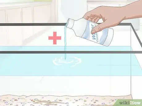 Imagen titulada Care for a Zebra Danio Step 5