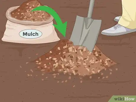 Imagen titulada Grow Soybeans Step 2