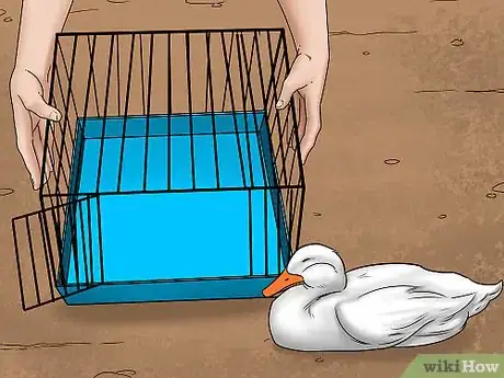 Imagen titulada Catch a Duck Step 8