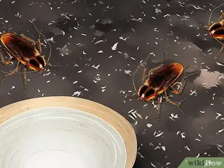 Imagen titulada Attract Cockroaches Step 11