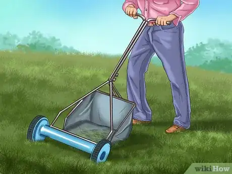 Imagen titulada Get and Maintain a Healthy Lawn Step 8
