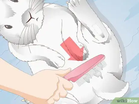 Imagen titulada Keep a Rabbit Clean Step 9