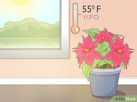 Imagen titulada Prune a Poinsettia Step 7