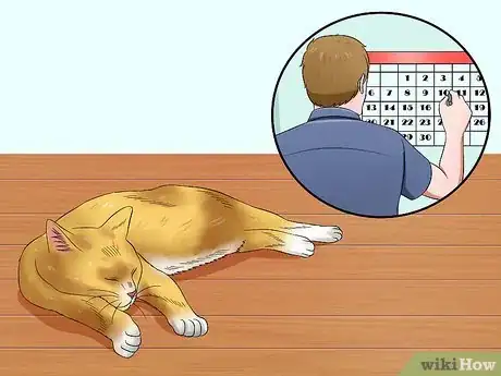Imagen titulada Help Cats to Sleep at Bedtime Step 1