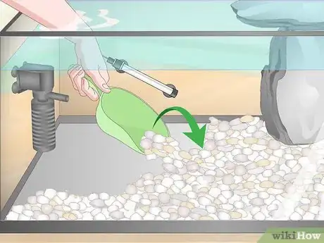 Imagen titulada Take Care of Mini Pet Turtles Step 7